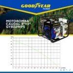 Curva motobomba caudal 3x3 GY802WPS